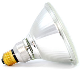80W, 120V Par 38 Halogen Bulb