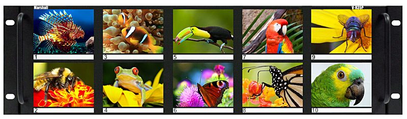 Ten 3.5" LCD Rack Mounted Panel with Auto NTSC/PAL Detection