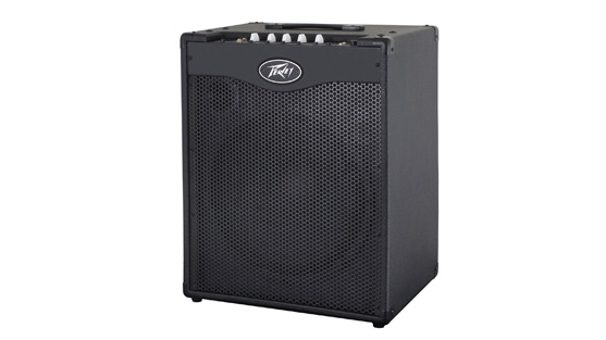 300W 1x15" Bass Combo Amplifier with DDT Speaker Protection
