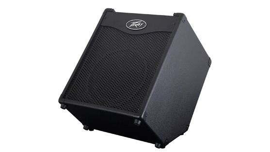 100W 1x10" Bass Combo Amplifier with DDT Speaker Protection