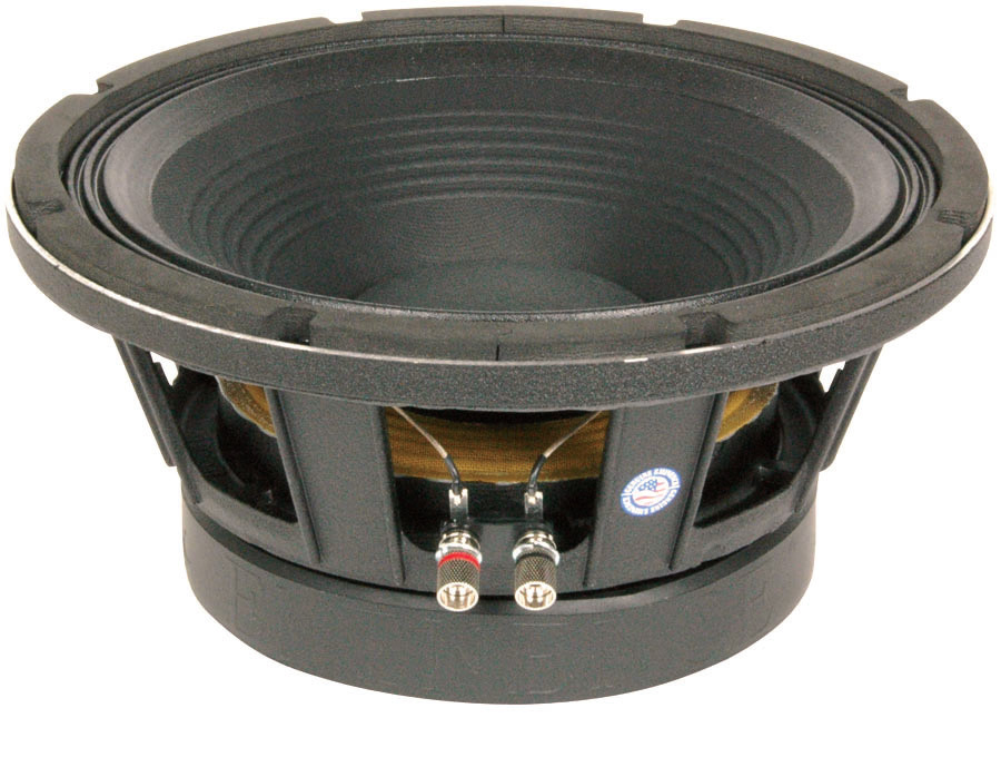 12" Subwoofer