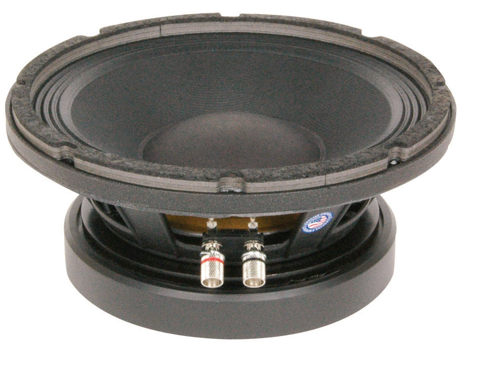 10" Speaker