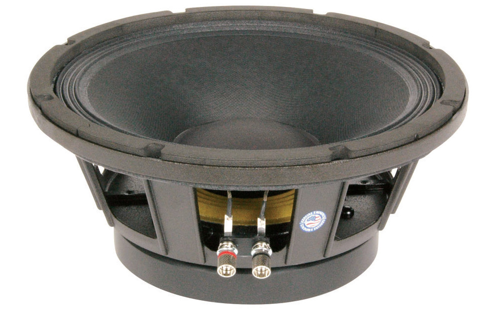 12" Woofer
