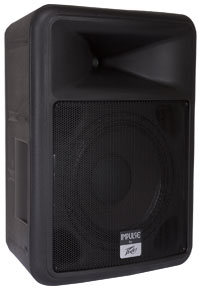 12" 2-Way 1000W Passive Loudspeaker in Black