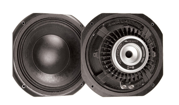 10" Subwoofer