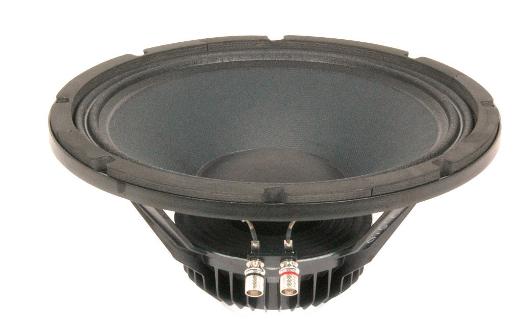 12" Woofer