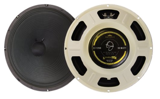 12" Guitar Speaker