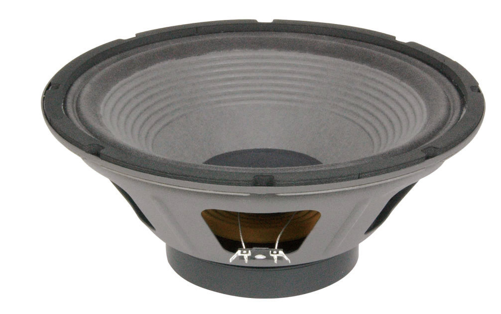 12" Speaker