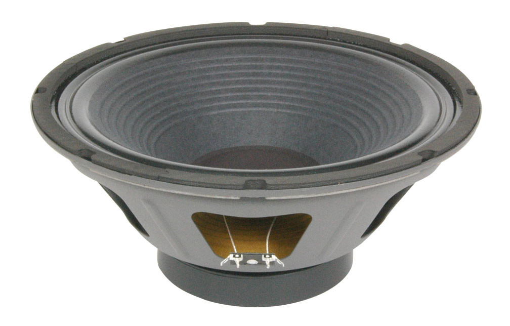 12" Guitar Speaker