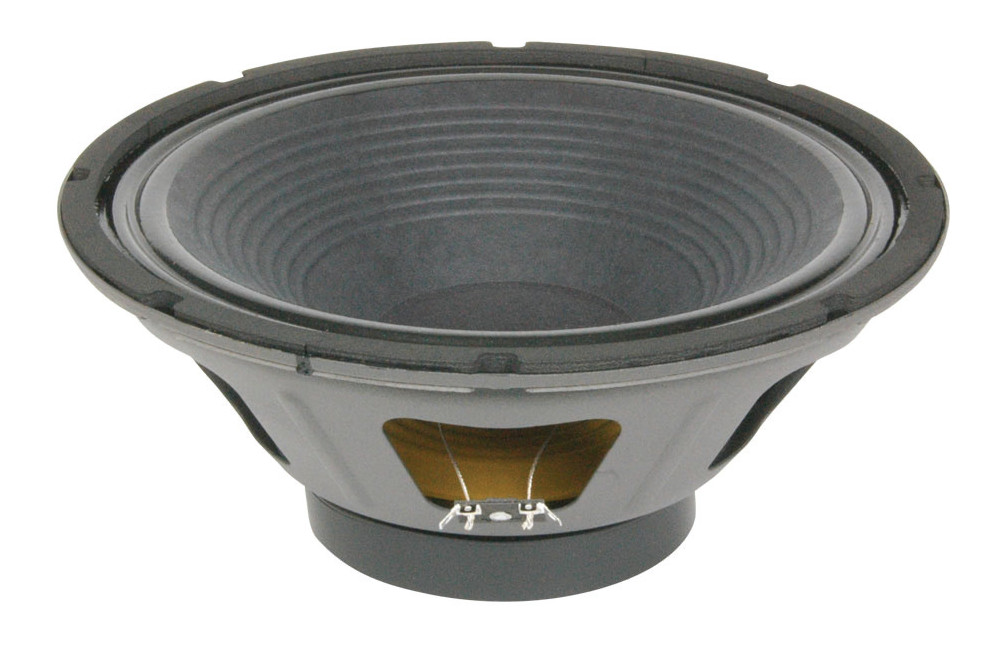 12" Guitar Speaker