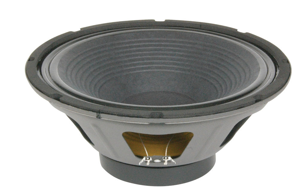 12" Speaker