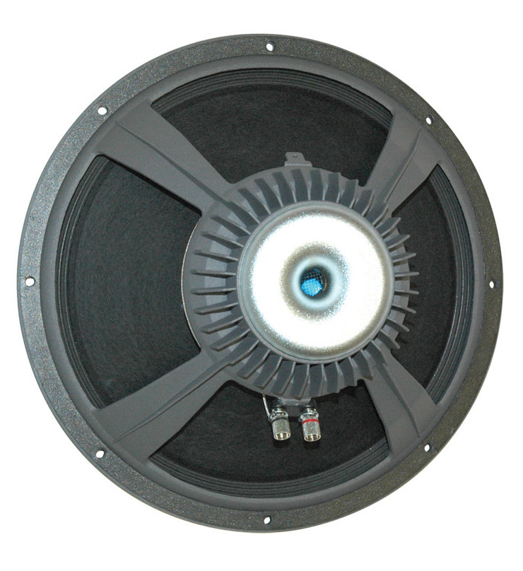 15" Pedal Steel Guitar Speaker