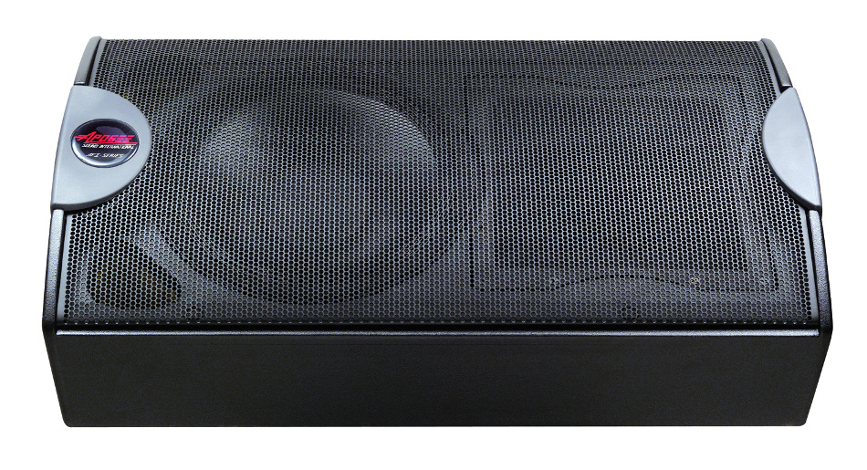 12" Passive Stage Monitor