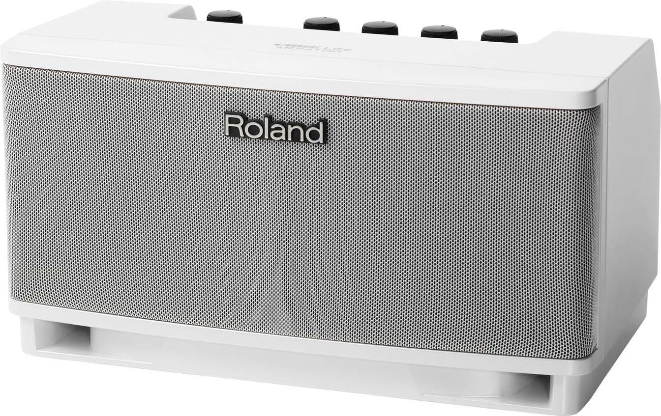 10W Modeling Microphone/Keyboard Monitor Amplifier in White