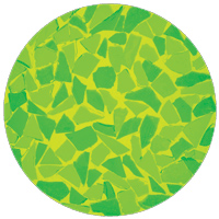 Dichroic Filter, Mystical Forest