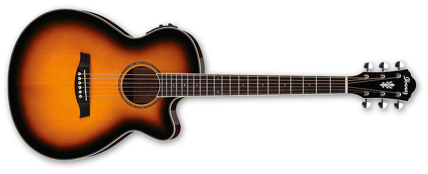 AEG Series Electric/Acoustic Guitar