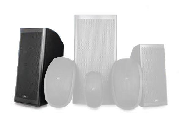 10" Elements Series 2-Way Molded Enclosure Outdoor Speaker