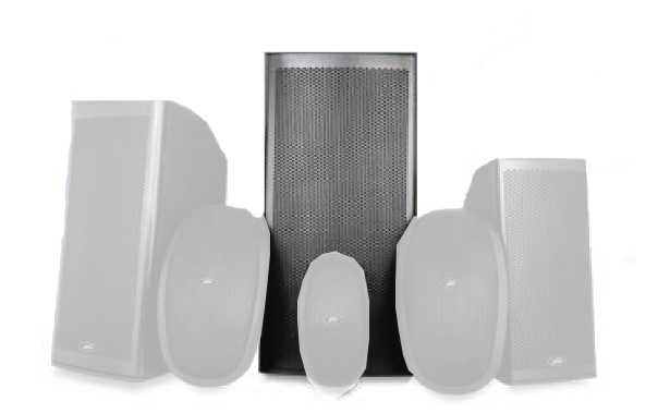 12" 2-Way Molded Enclosure Outdoor Speaker