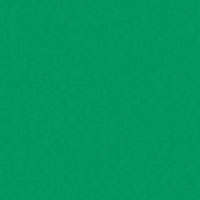 Chroma-Key Background 6' x 7' Green