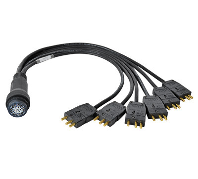 3' 20Amp 6-Circuit EverGrip® Break-In StagePin to Molded LSC19 Extension Cable