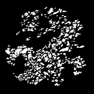 Foliage Forest 2 Steel Gobo