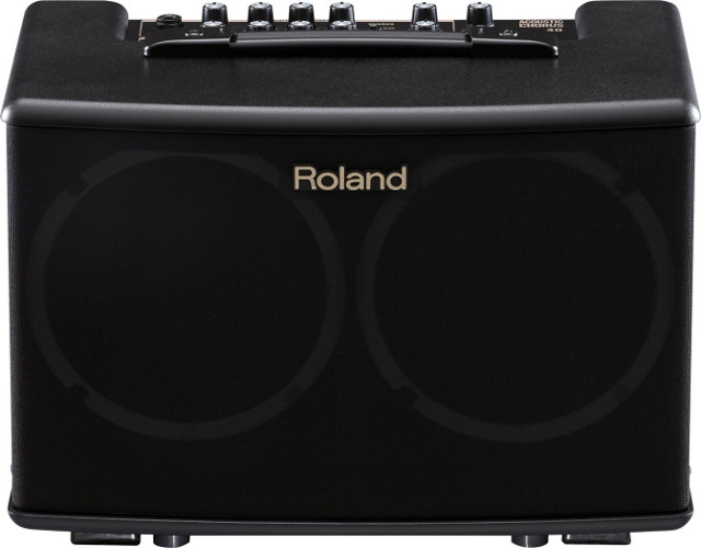 2-Ch 40W 2x6.5" Acoustic Guitar Amplifier with Chorus