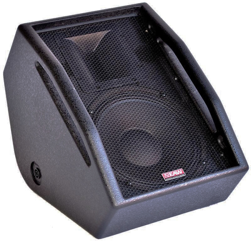 10" 2-Way Full Range Stage Monitor in White