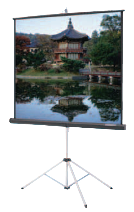 50" x 67" Carpeted Picture King in Video Format with Keystone Eliminator