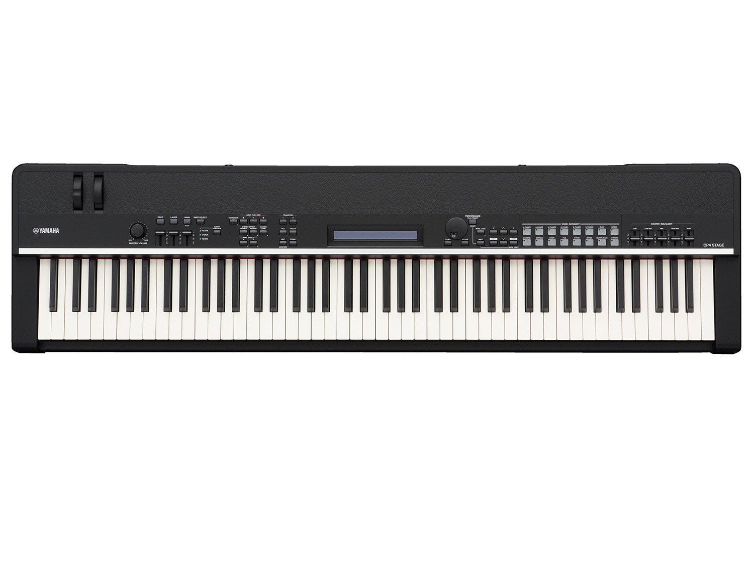 Professional Digital Piano