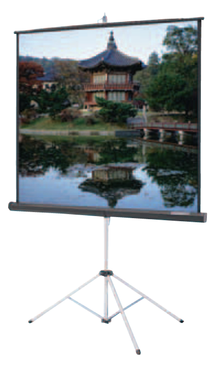 43" x 57" Carpeted Picture King with Keystone Eliminator