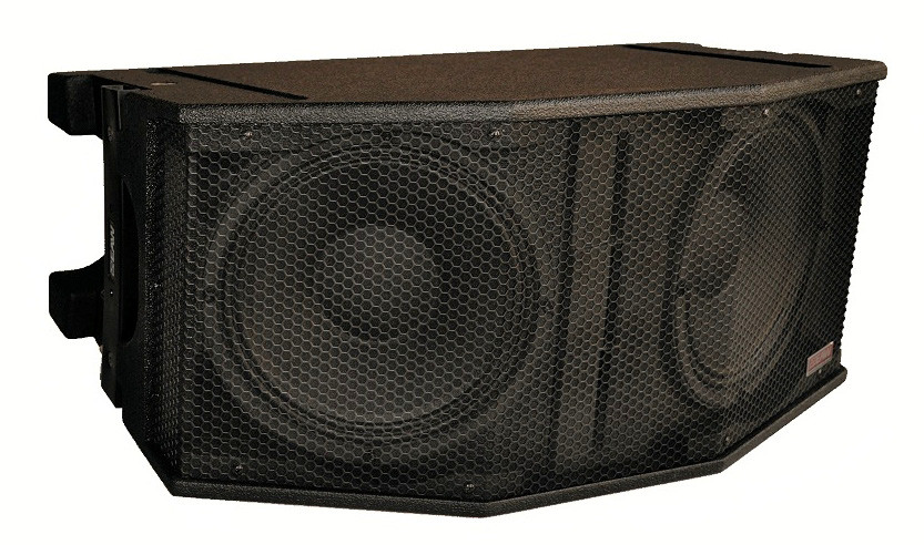 2-Way 10" Speaker System in Black