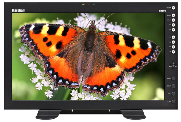 6RU 17" Full Resolution Rack Mount Standalone Monitor with Modular Inputs