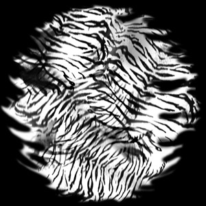 Tiger Skin Glass Gobo