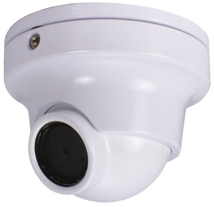 Minature Color Wide Angle Camera in White