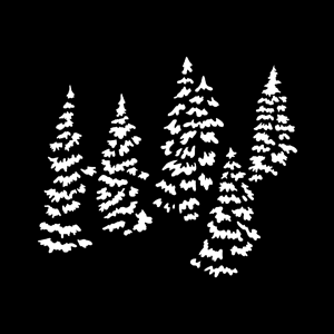 Trees Pine Group Steel Gobo