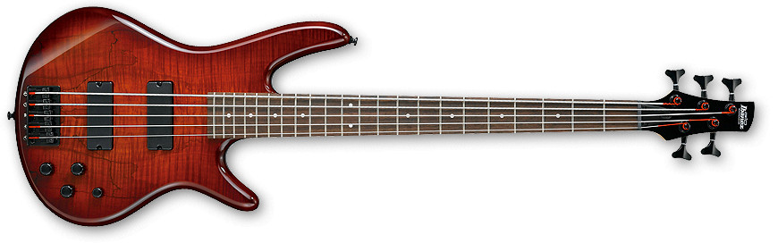 Charcoal Brown Burst Gio Series 5-String Electric Bass