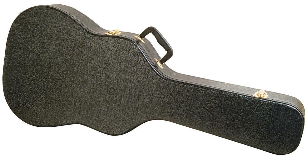 Thinline Semi-Hollow Electric Guitar Hard Case