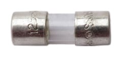 2 Amp 250 Volt Fuse for MPE