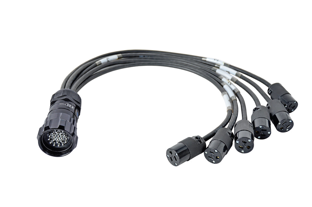 Break-In Female LSC19 to 6 Male Edison Cable