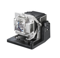 Projector Lamp for D7180HD