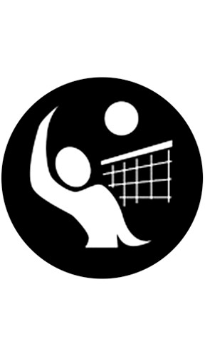 "Volleyball 2" Pattern Gobo