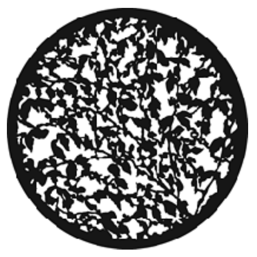 Summer Leaves Gobo