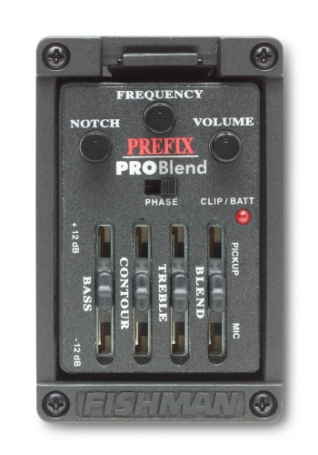 Wide Format Acoustic Guitar Preamp System