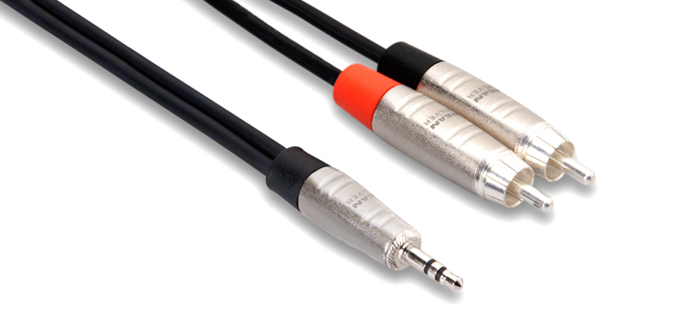 10 ft 1/8" TRS to Dual RCA Cable