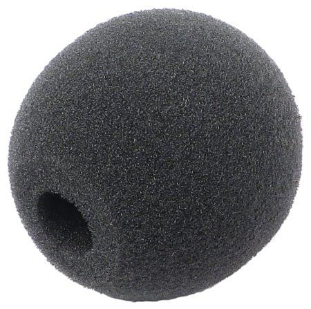 W444 Windscreen for C555 L