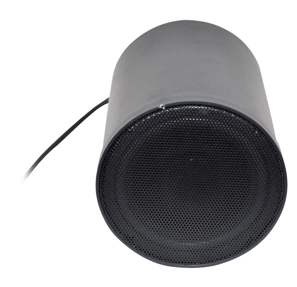 6.5" 40 Watt Hanging Pendant Speaker with 70V Transformer