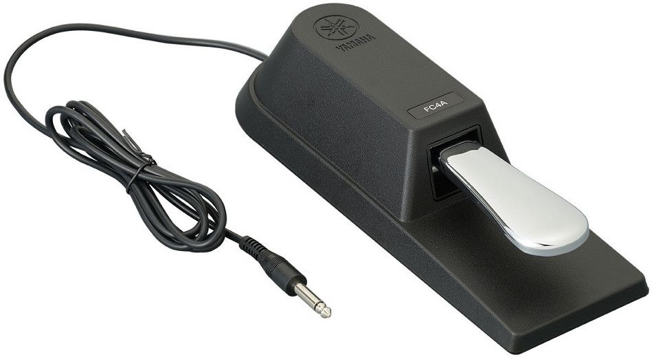 Piano-Style Sustain Foot Pedal with 1/4" TS Plug