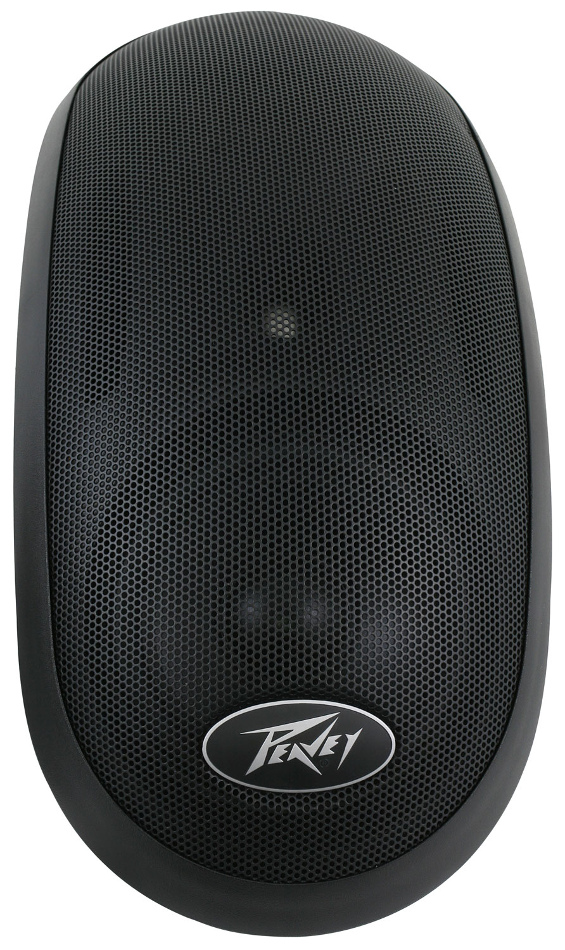 Surface Mount Speaker with Dual 6.5" Woofers and 70/100V Transformer