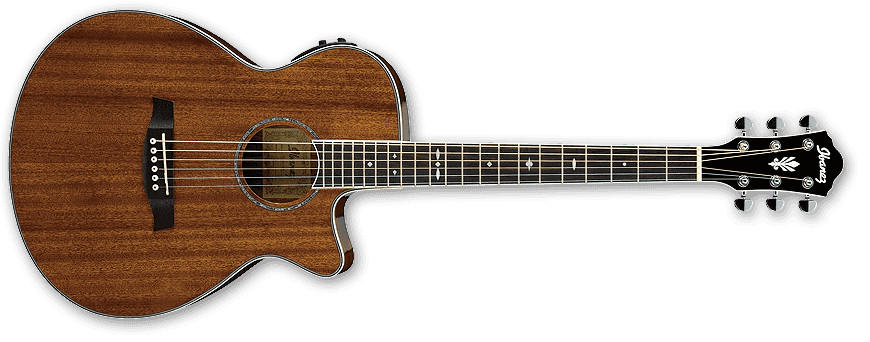 Natural High Gloss AEG Series Acoustic/Electric Guitar with AEQ-SP1 Electronics