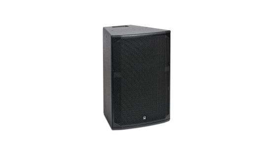 300W 12" 2-Way Speaker in Black